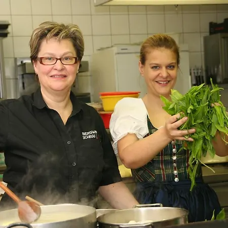 Hotel Mohnhotel - Bergwirt Schrammel Zwettl