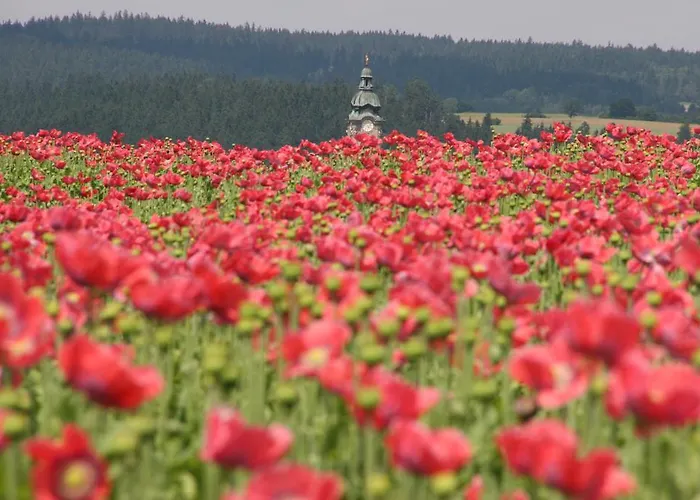 Hotel Mohnhotel - Bergwirt Schrammel Zwettl